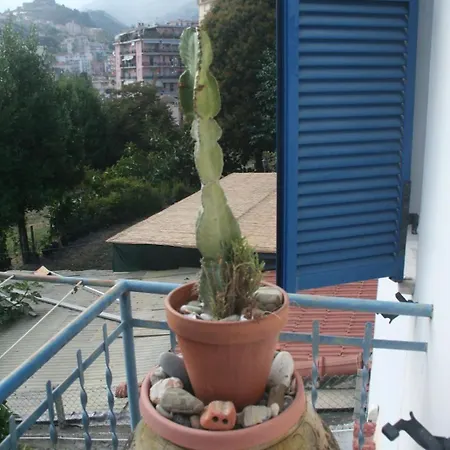 La Casa Di Flora * San Remo