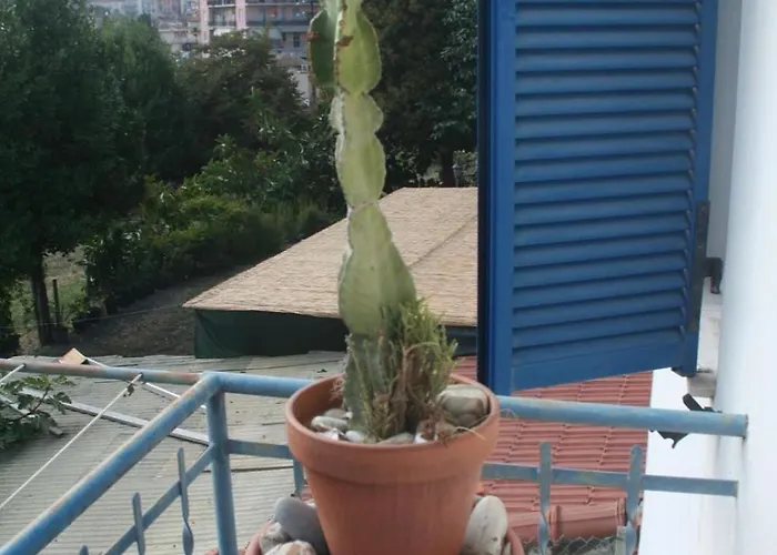 La Casa Di Flora * San Remo